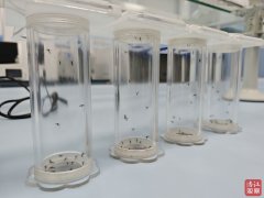 疾控核心专家董蒙蒙引见